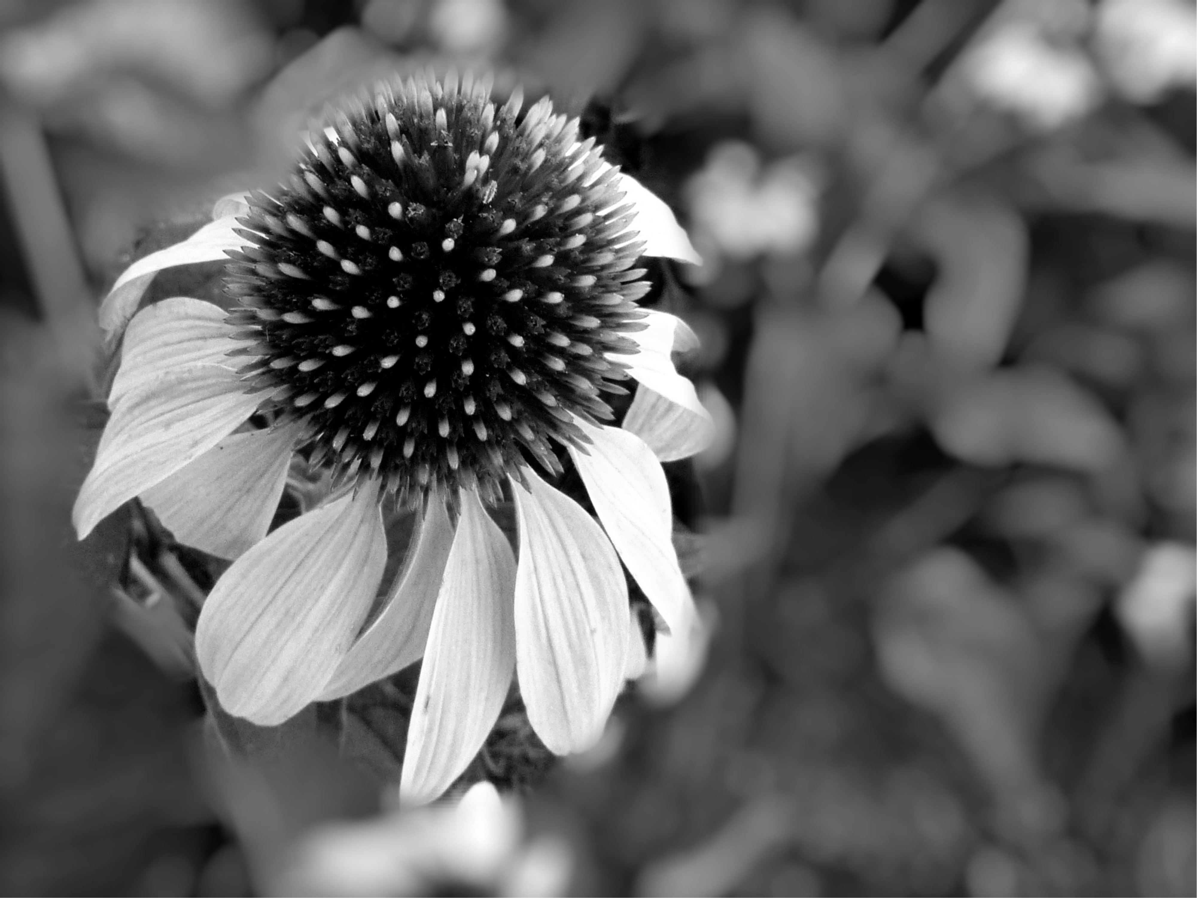 Test 9